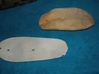 shells 003.webp
