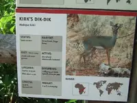 DSCF3381.webp