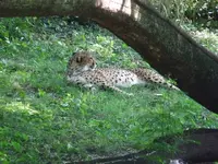 DSCF3434.webp