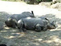 DSCF3446.webp