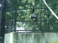 DSCF3511.webp