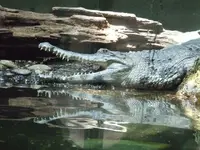 DSCF3519.webp
