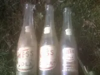 06.webp