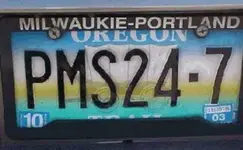 World\'s scariest license plate.webp