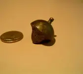 acorn1.webp