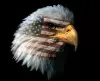 avatar_30309.webp