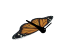 Animated Gif Insects (107).GIF