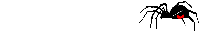 Animated Gif Insects (91).GIF