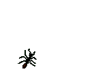 Animated Gif Insects (80).GIF