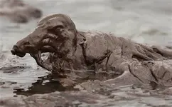 gulf-oil-spill-5ba20036d07f99f6_large.webp