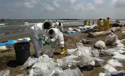 oil louisiana coast.webp