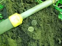 JULY 23RD  CELLAR HOLE WITH RON 004 [].webp