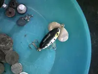 Metal Detecting Finds 228.webp