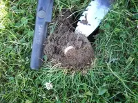 DSCN1270.webp