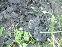DSCN0472.webp