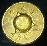 shells2 001.webp