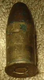 shells2 002.webp