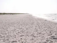 beach2.webp