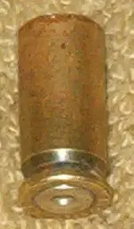shells2 007.webp