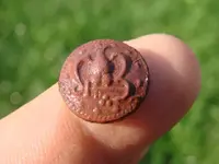 DSC07905.webp