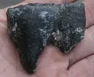 rock2.webp