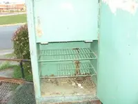 100_5055 (2).webp