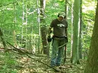 dud cellar hole hunts 001 [].webp