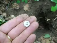 dud cellar hole hunts 005 [].webp