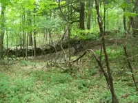 dud cellar hole hunts 007 [].webp