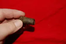 Fuert Site (10).webp