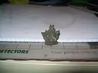 canada pin.webp