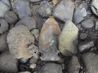 DSC00903.webp