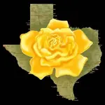 Yellowroseoftexas.webp
