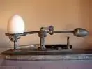 egg scale.webp