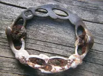 buckle2.webp