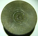 peters_shell.webp