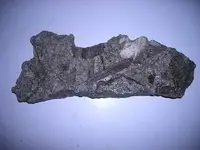 DSCN1443.webp