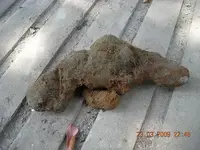 DSCN2379.webp
