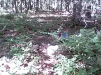 site251NJfind.webp