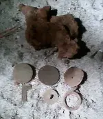 Site251finds.webp