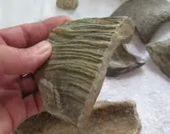 wood or stone.webp