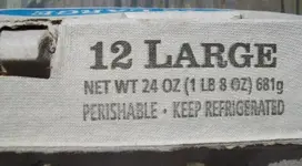 Egg Carton 002 (600x331).webp
