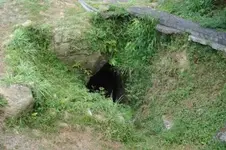 aspJpegCATJSIEH.webp