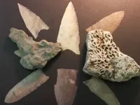 CRVfossils 001.webp