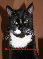 Z not amused.webp