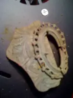 MDingVicky3.webp