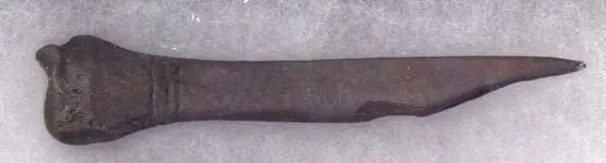 Bone awl with three rings carved around the base.webp