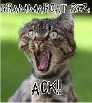 MTS2_thumb_whiterider_795042_grammarcat.webp
