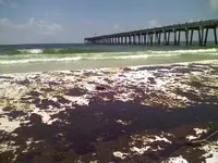 Pcola beach.webp