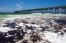 Pcola beach 2.webp